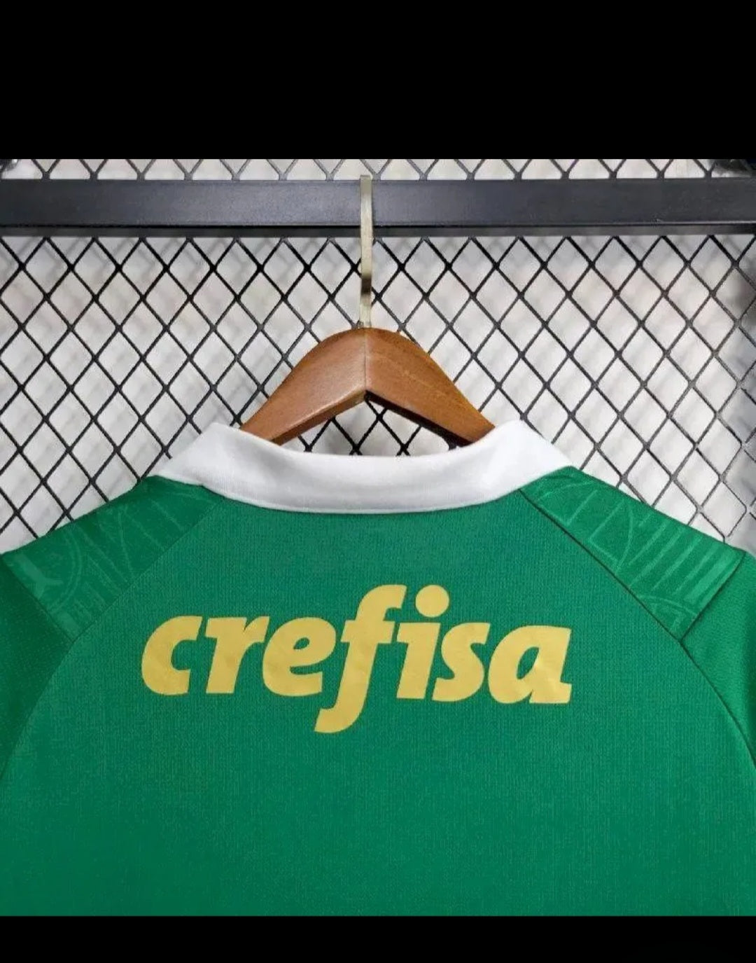 Palmeiras 2024