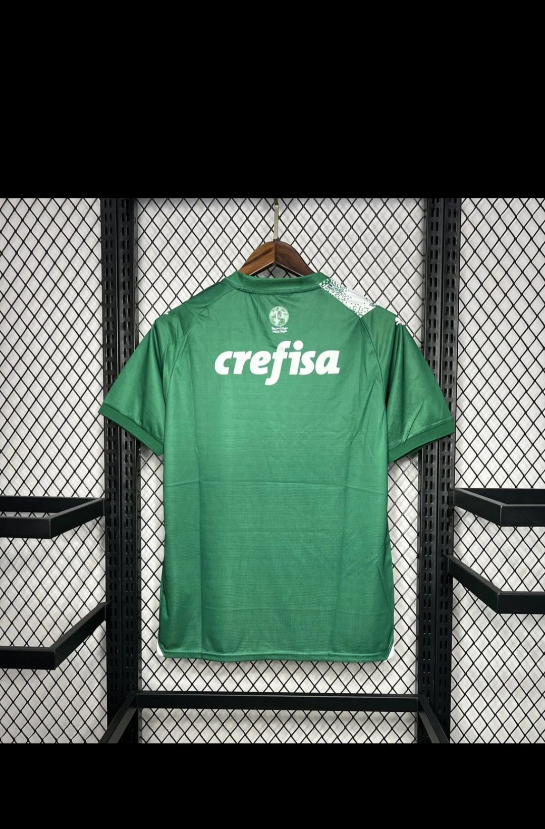 Palmeiras 2024 Special Edition