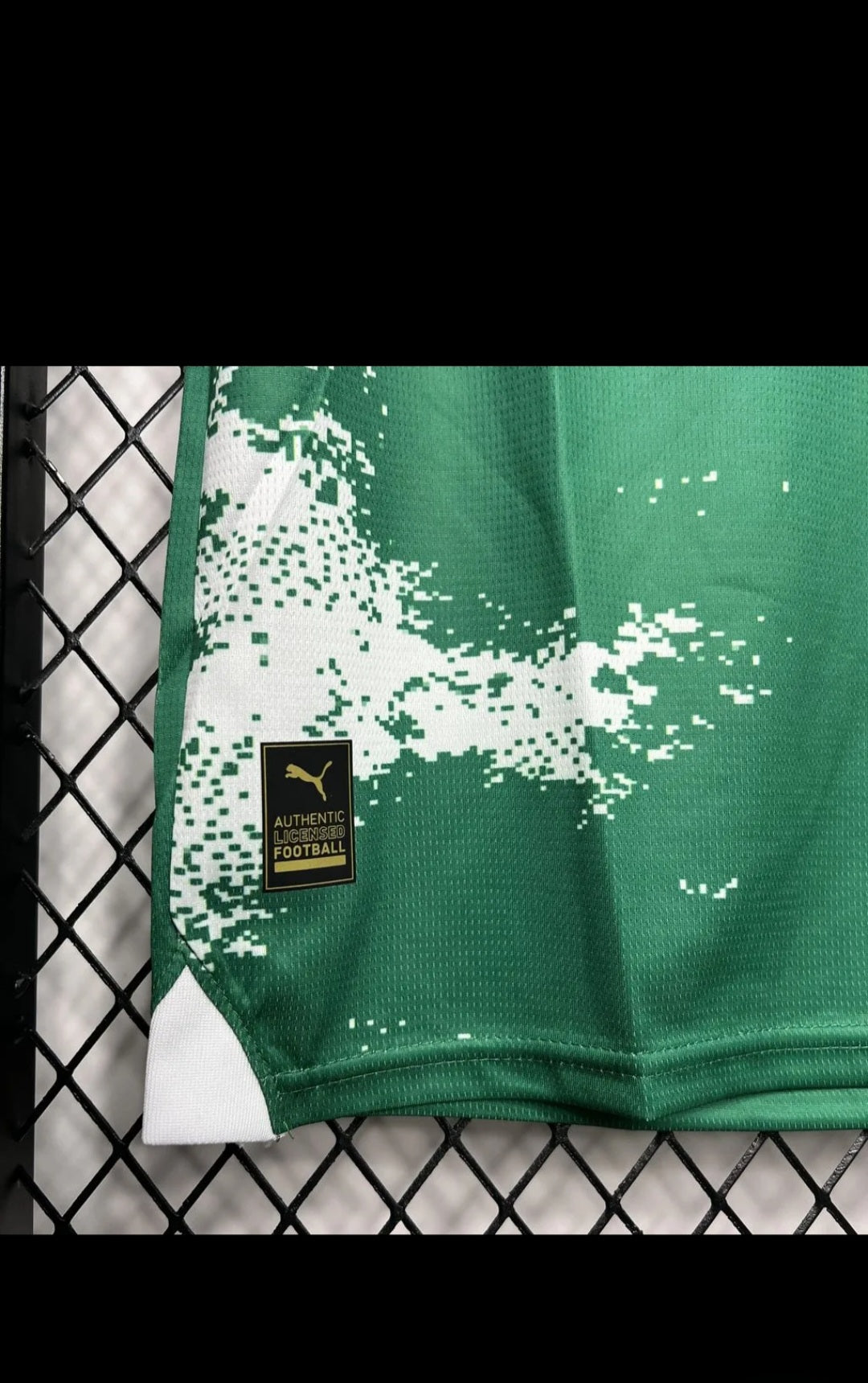 Palmeiras 2024 Special Edition