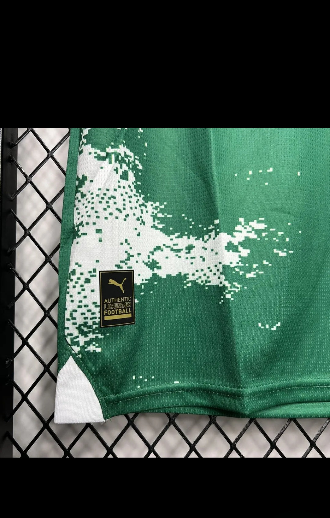 Palmeiras 2024 Special Edition