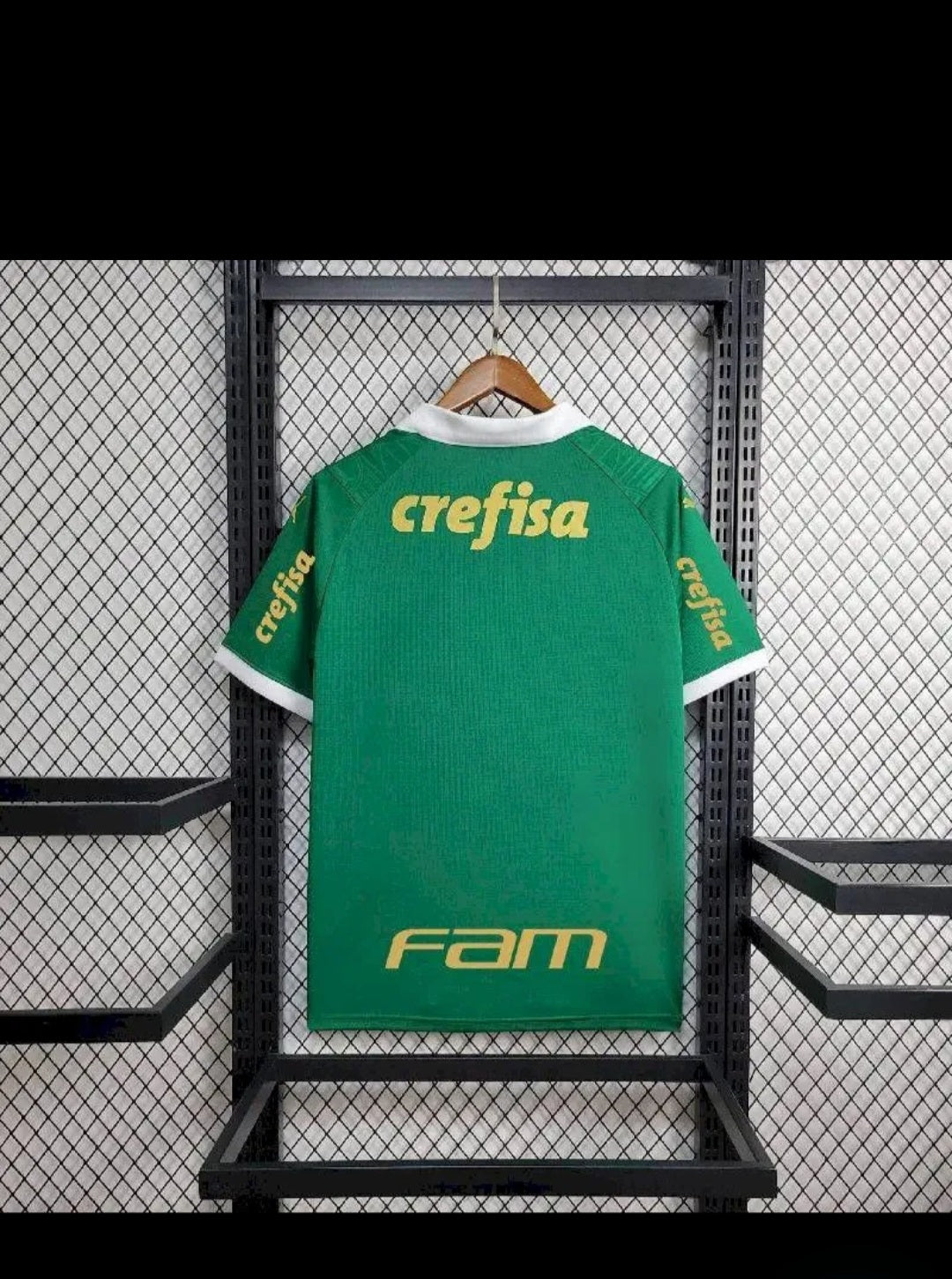 Palmeiras 2024