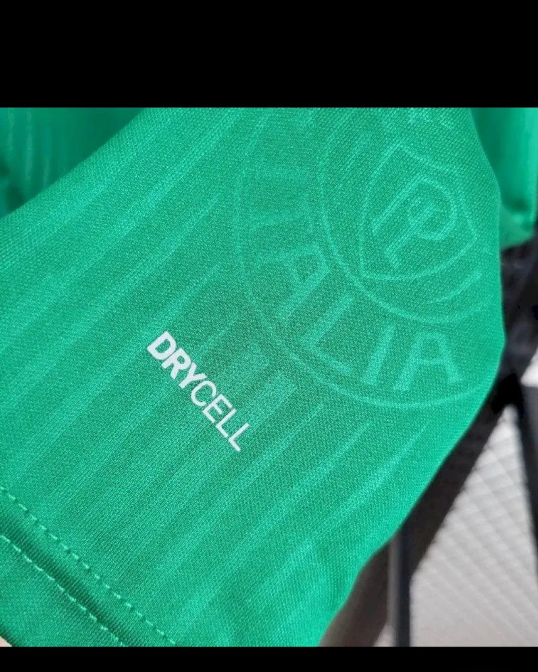 Palmeiras 2024