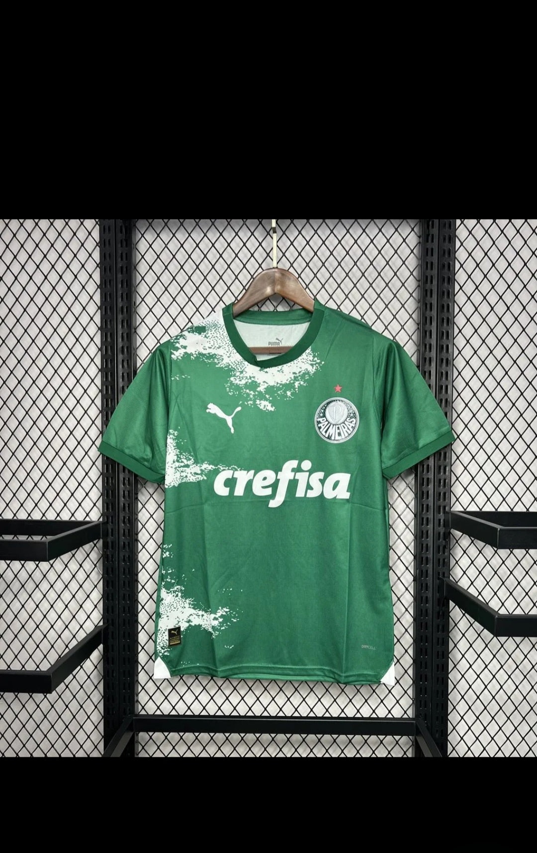Palmeiras 2024 Special Edition