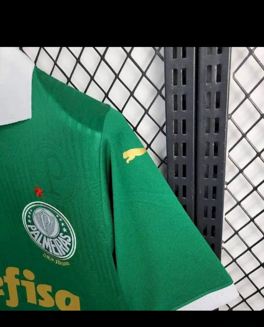 Palmeiras 2024