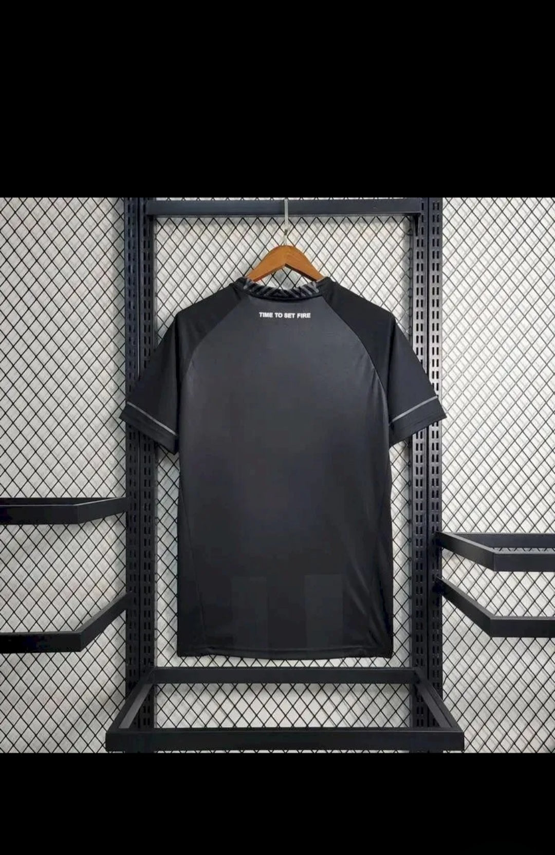 Botafogo 2024