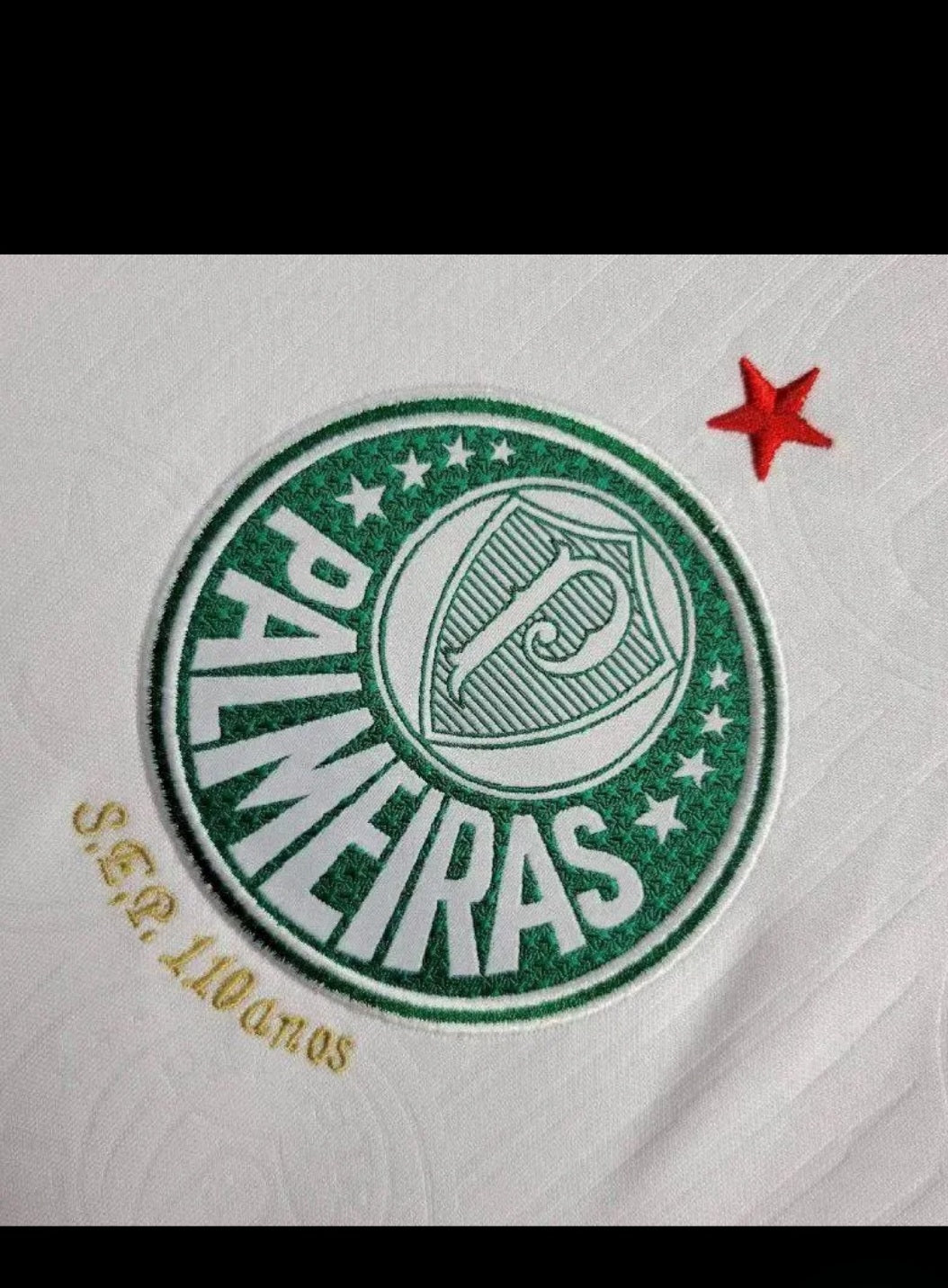 Palmeiras 2024 Branca