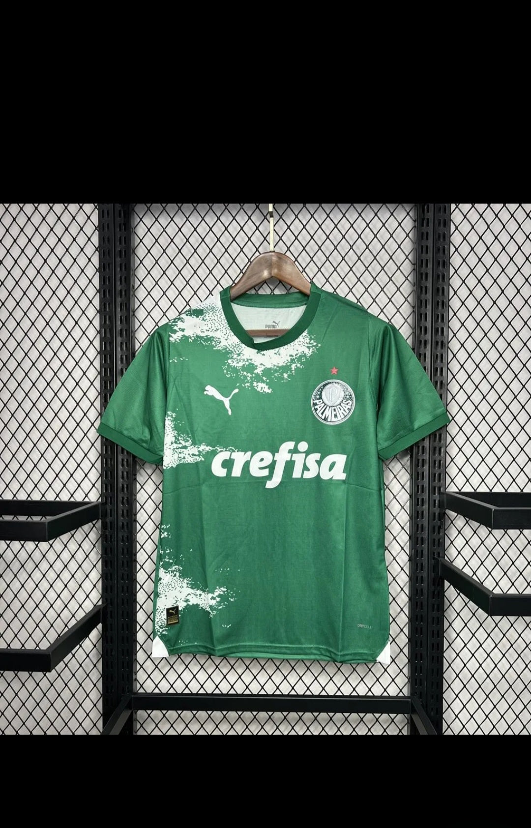 Palmeiras 2024 Special Edition