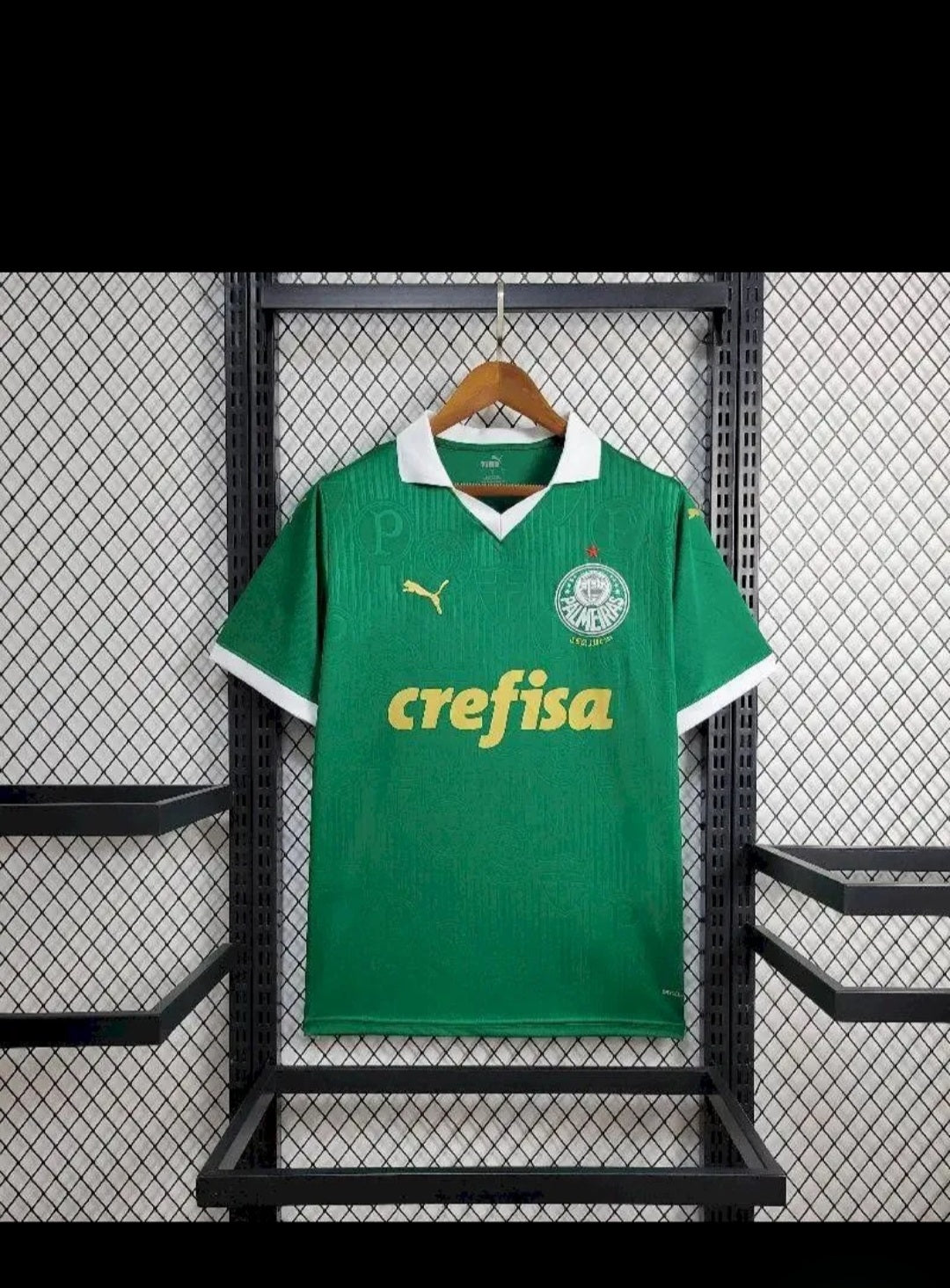 Palmeiras 2024