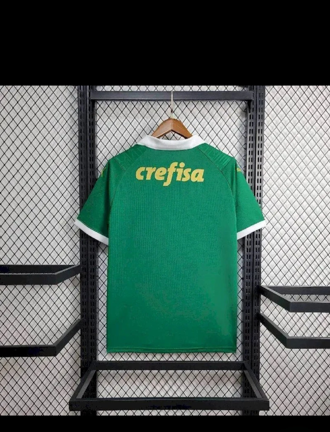 Palmeiras 2024
