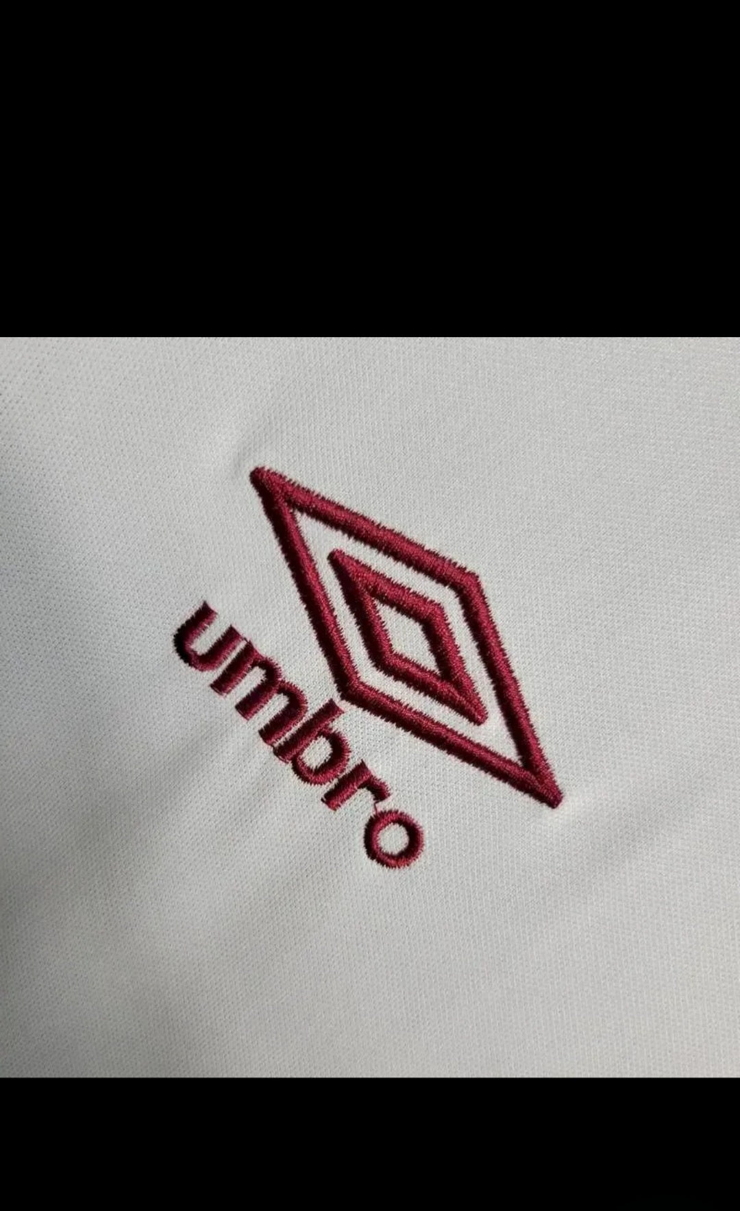 Fluminense 2024 Training