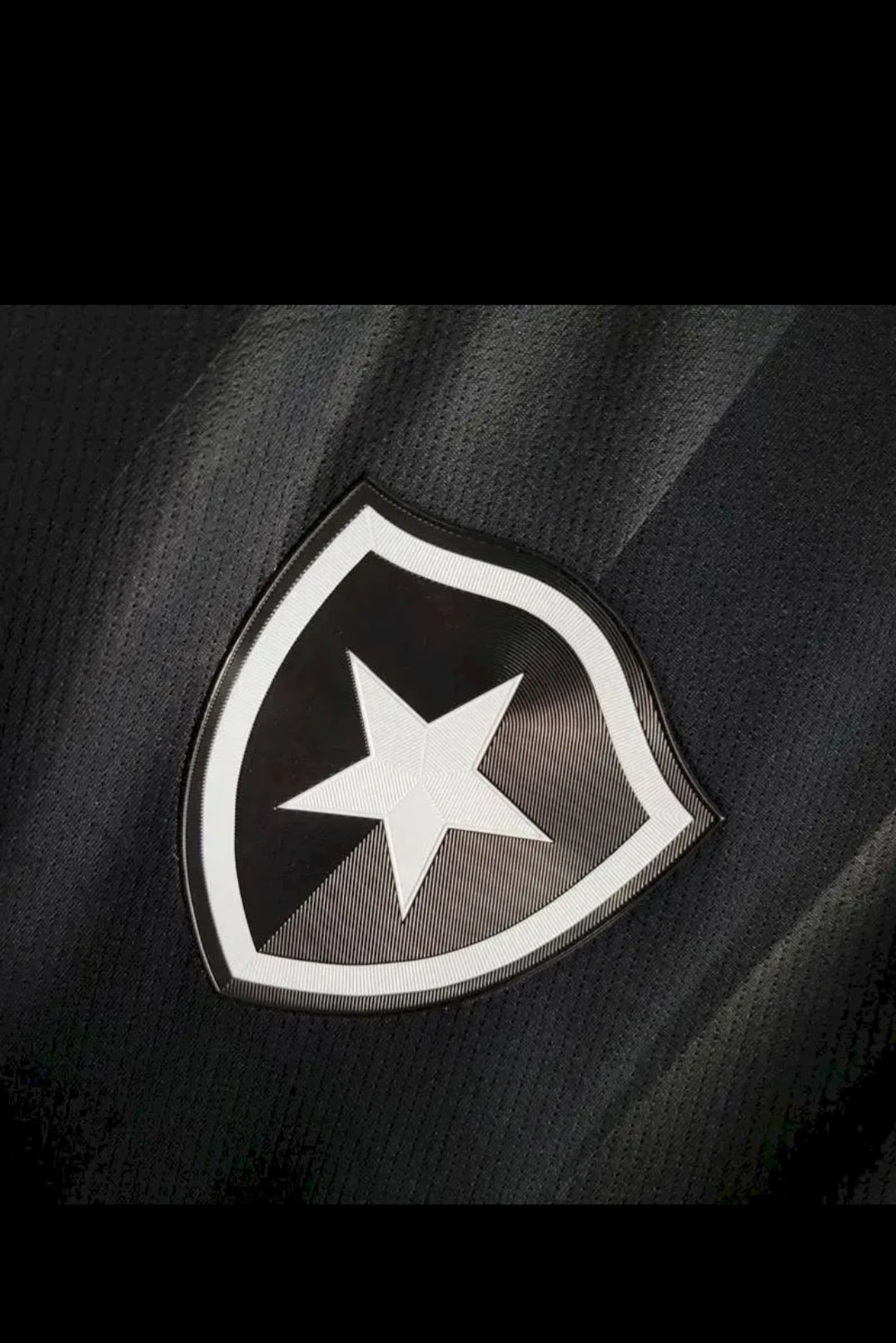 Botafogo 2024