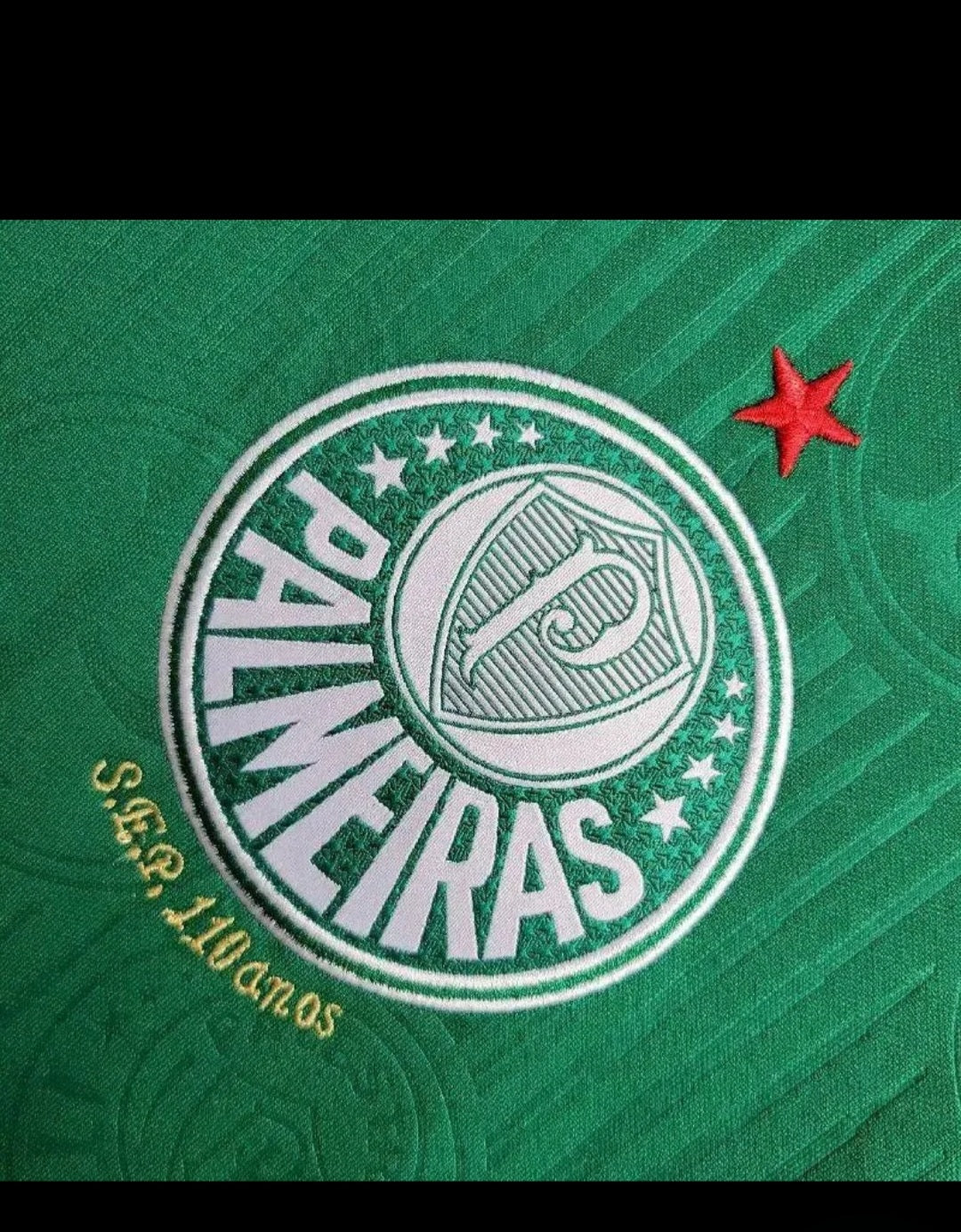 Palmeiras 2024