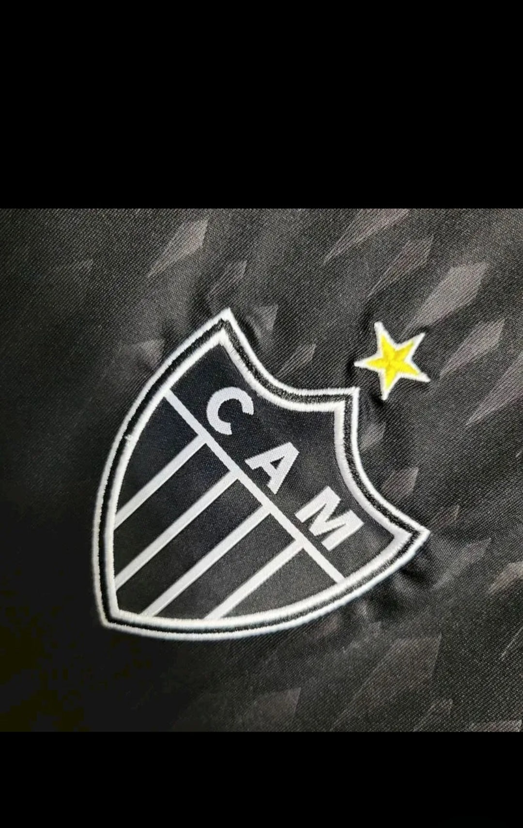 Atlético Mineiro 2024