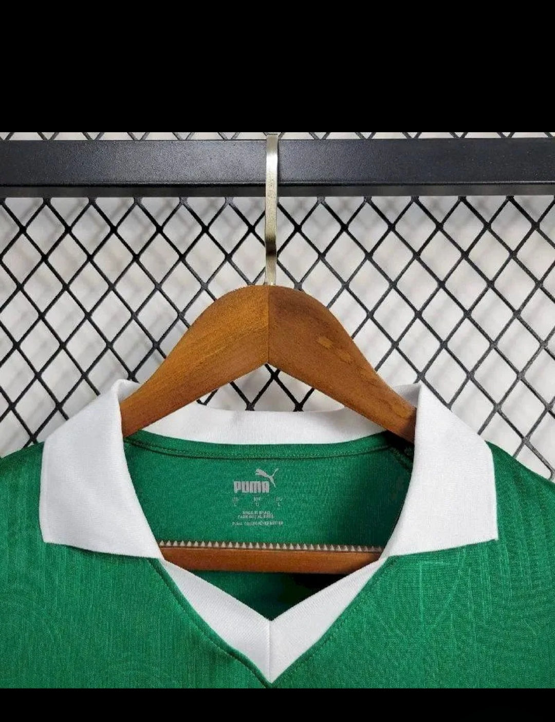 Palmeiras 2024