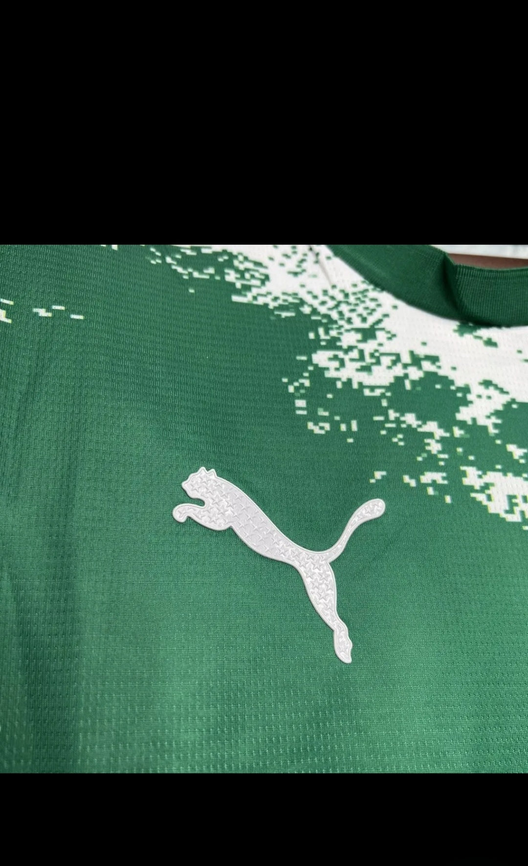 Palmeiras 2024 Special Edition