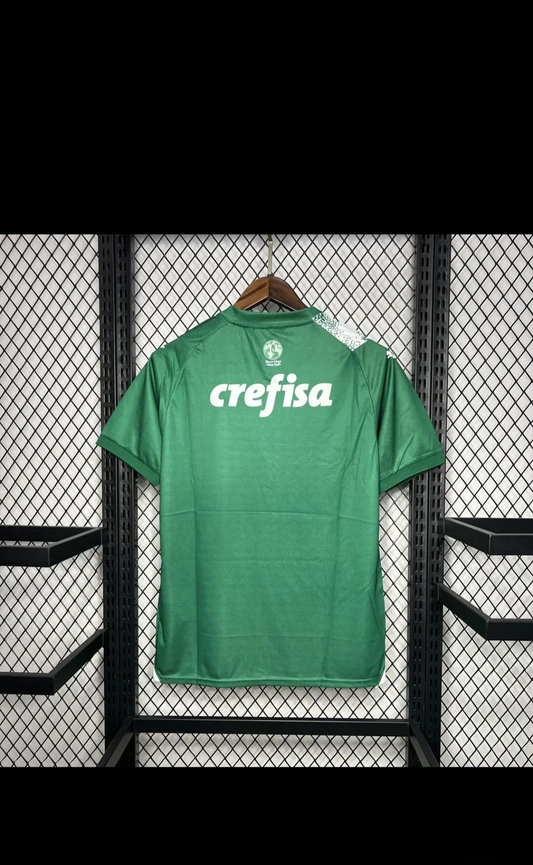 Palmeiras 2024 Special Edition