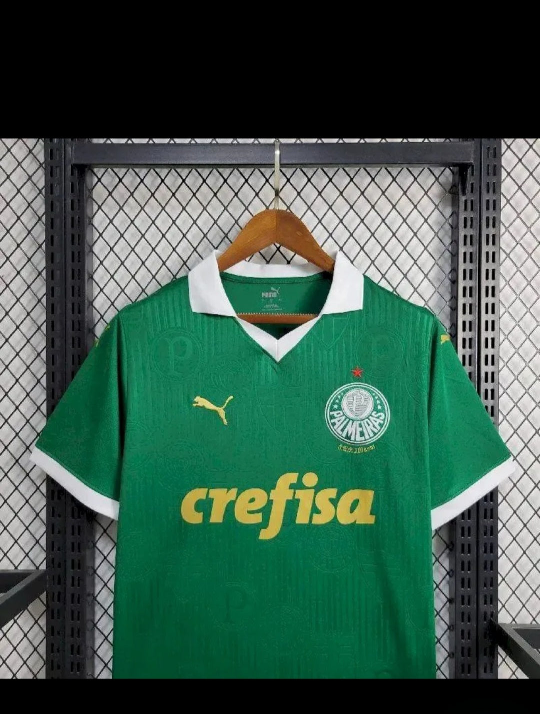 Palmeiras 2024